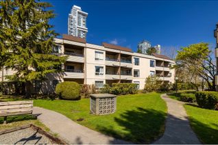 Condo Apartment for Sale, 13344 102a Avenue #312, Surrey, BC