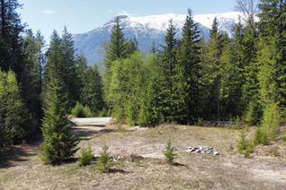 Vacant Residential Land for Sale, 5323 Highway 6, Burton, BC
