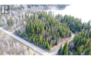 Land for Sale, Lot 7 Ruffell Road, Canim Lake, BC