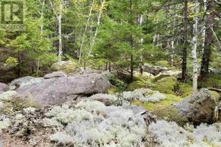 Property for Sale, Lot 44 Beaver Pond Drive, East Dalhousie, NS
