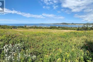Land for Sale, 17 Paynes Path, Rocky Harbour, NL