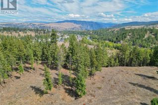 Commercial Land for Sale, 640 Hwy 3 #1, Princeton, BC