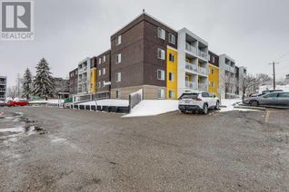Condo Apartment for Sale, 4455 Greenview Drive Ne #412A, Calgary, AB