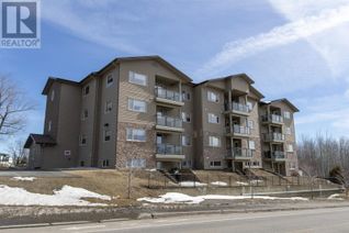 Condo Apartment for Sale, 103 375 Adelaide St, Thunder Bay, ON