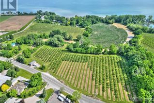 Commercial Farm for Sale, 1332 Lakeshore Road, Niagara-on-the-Lake, ON