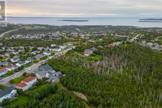 Commercial Land for Sale, 329-339 Fowlers Road, Conception Bay South, NL