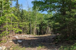 Land for Sale, Lot 2 Limberlost Road, Lake Of Bays, ON