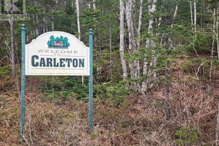 Commercial Land for Sale, Lot Highway 340, Pleasant Valley, NS