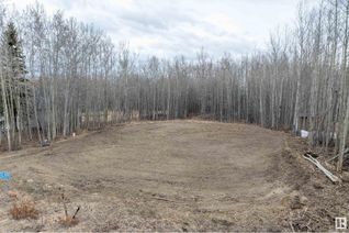 Land for Sale, 136 462054 Rr 11, Rural Wetaskiwin County, AB