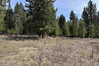 Commercial Land for Sale, 356 Blackstock Road, 100 Mile House, BC