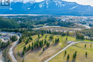 Land for Sale, Proposed Lot 8 Johnson Way, Revelstoke, BC