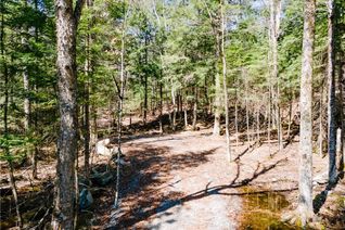 Land for Sale, 0 County Road 21, Minden, ON