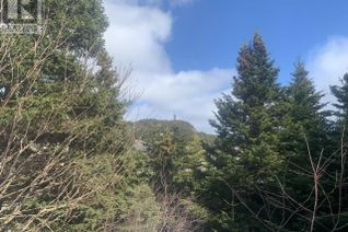 Commercial Land for Sale, 52 Long Run Road, Tors Cove, NL