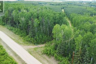 Land for Sale, Se-18-70-21-5, Rural Greenview No. 16, M.D. of, AB