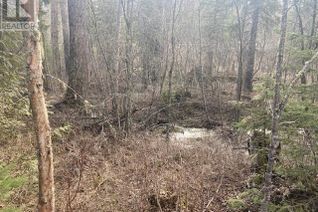 Commercial Land for Sale, Lot 54 Cokato Road #B, Fernie, BC