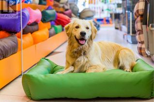 Pet & Supplies Non-Franchise Business for Sale