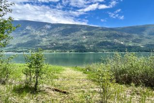 Vacant Residential Land for Sale, Dl 7690 Whatshan Forest Service Road, Burton, BC