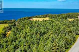 Land for Sale, 1-11 Goldsworthy's Road, Pouch Cove, NL