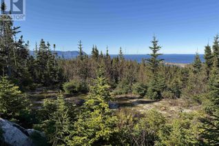Commercial Land for Sale, 10-1 White Point Road, Smelt Brook, NS