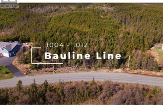 Property for Sale, 1008-1012 Bauline (Parcel B) Line, Bauline, NL