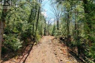 Commercial Land for Sale, 0 Coe Island Lake Road, Faraday, ON