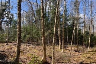 Property for Sale, East River East Side Road, Glencoe, NS