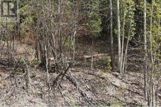Property for Sale, Lot 2 Vickers Trail, Anglemont, BC