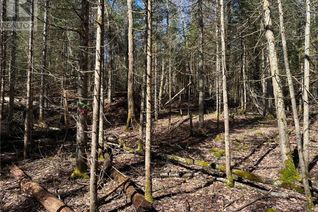 Land for Sale, Lt 4 Concession 5, McMurrich/Monteith, ON