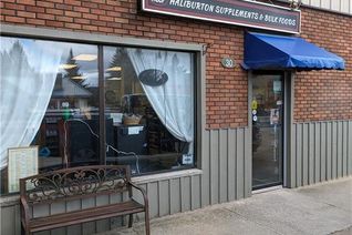 Business for Sale, 30 York Street, Dysart et al, ON