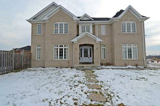 Detached House for Rent, 1 Bedroom 119 Alamo Heights Dr, Richmond Hill, ON