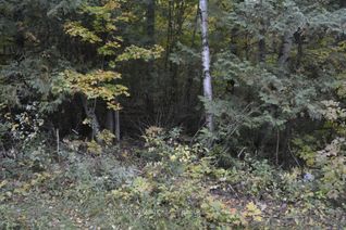 Vacant Residential Land for Sale, PtLt 61 Old Hastings Rd, Wollaston, ON