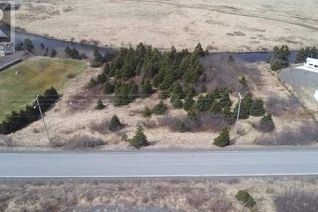 Commercial Land for Sale, 0 Main Road, Branch, NL
