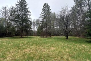 Vacant Residential Land for Sale, 52 Lembitu Ave, Georgina, ON