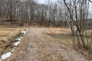 Vacant Residential Land for Sale, 91B Highway 124, McDougall, ON