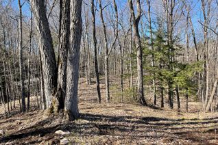 Vacant Residential Land for Sale, 0 South Rd (Part 1), North Frontenac, ON