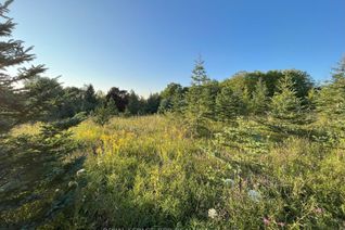 Land for Sale, 395807 Concession 2 Rd, Chatsworth, ON