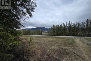 Commercial Land for Sale, Lot 1 N 5 Highway, Valemount, BC