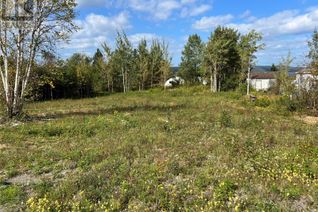 Commercial Land for Sale, 1 Hopkins Road, South Brook, NL