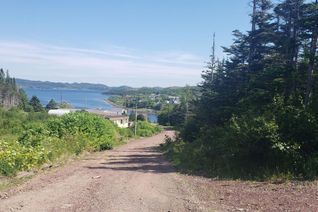 Land for Sale, 100 D Main Road, Lewin's Cove, NL