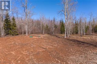 Vacant Residential Land for Sale, Lot 17-1 Collins Lake Road, Shemogue, NB