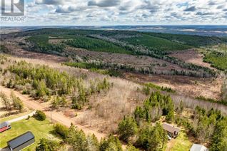 Commercial Land for Sale, Lot Whites Mountain, Sussex, NB