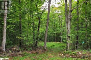Commercial Land for Sale, 320 Proudfoot Road, Joly, ON