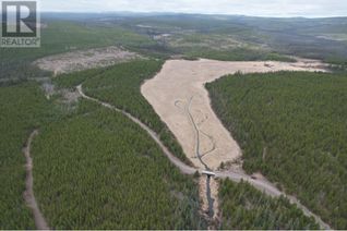 Commercial Land for Sale, 9921 3800 Forest Service Road #DL, Quesnel, BC