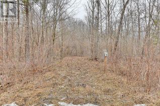 Commercial Land for Sale, 0 9th Line W, Trent Hills, ON