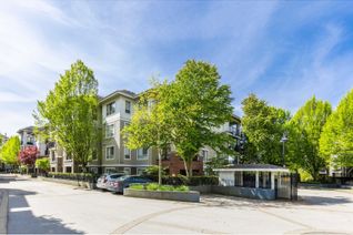 Condo Apartment for Sale, 8929 202 Street #C208, Langley, BC
