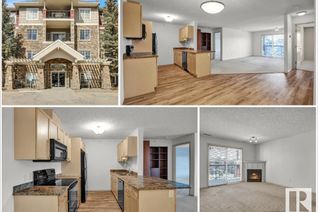 Condo Apartment for Sale, 412 2098 Blackmud Creek Dr Sw, Edmonton, AB