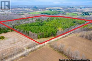 Commercial Land for Sale, Lot 10 Concession 14 Ndr, Bentinck Twp, ON