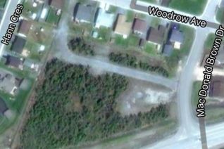 Commercial Land for Sale, 145-147 Macdonald-Brown Drive, Corner Brook, NL
