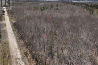 Commercial Land for Sale, Lot 2 Mckinnon Road, Miramichi, NB