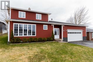 House for Sale, 53 Wights Road, Deer Lake, NL